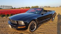 Ford - Mustang Convertible 4.0 V6 - 2007