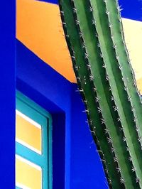 Blue and green are by far my favourite colours and they're in abundance in Le Jardin Majorelle. The distinct rich Moroccan blue resonates so deeply with me, it enlivens my spirit 😍