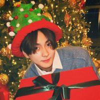 enhypen christmas jungwon icon