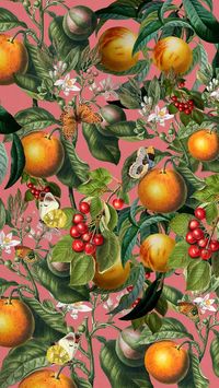 Tropical orange pattern iPhone wallpaper, vintage fruit illustration | premium image by rawpixel.com / Adjima