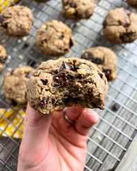 PROTEIN BREAKFAST COOKIES (DAIRY FREE) – No Excuses Nutrition