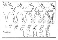 Drawing bunnies - More step by steps on this site