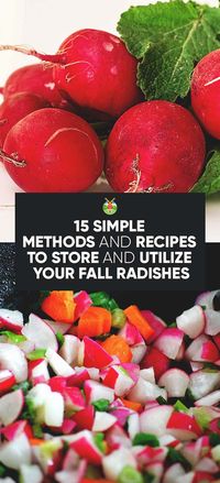 5 Simple Methods to Store Radishes (and 5 Recipes You Should Try)