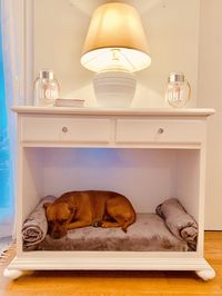 [PaidLink] 90 Essential Dog Bedroom Ideas Modern Insights You Have To See #dogbedroomideasmodern