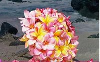 Although Plumeria are beautiful and fragrant, they quickly brown and curl. They do not last long as bouquets.