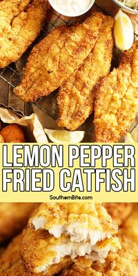 This recipe for my cornmeal crusted, southern style Lemon Pepper Fried Catfish is quick, easy and filled with tons of lemon flavor.