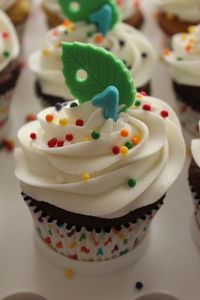 The Very Hungry Caterpillar 1st Birthday Cupcake