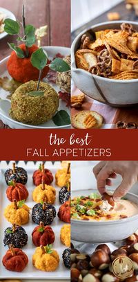 Discover the essence of autumn with easy and delicious fall appetizers. From cheesy delights to sensational snacks, these recipes promise warmth, flavor, and a touch of seasonal magic for every gathering. #fall #appetizer #recipes #pumpkin #cozy #autumn #entertaining #snacks #fallrecipes #dips #appetizerdip #cheeseball