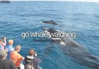 bucket list for girls I went whale watching once, in Wii... - A