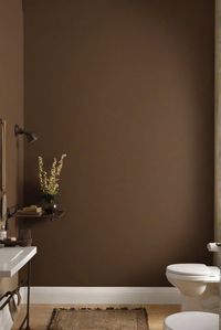 Transform your bathroom with the rich allure of Deep Forest Brown SW 9175. Discover expert tips and ideas in this comprehensive wall paint guide. #ad     #Colortrend #wallpaint2024  #color2024  #DIYpainting  ##DIYhomedecor  #Fixhome