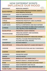 Dive into the world of essential oils with this beginner's guide. Learn the basics of aromatherapy, discover popular oils to start with, and find tips on how to safely use and create blends. Begin your journey to natural wellness today! More tips and ideas at kathrynsholistichealth.com