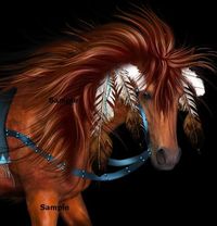 Indian War Pony | American Indian Chestnut War Pony Dressed in Feathers.