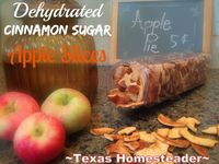 DEHYDRATED CINNAMON/SUGAR APPLE CHIPS - A Crispy Delicious And Healthy Snack For Your Family. Preserve The Harvest! #TexasHomesteader