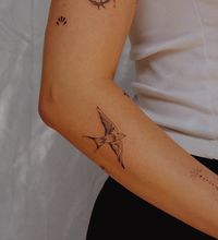 Illustrative style sparrow tattoo located on the forearm