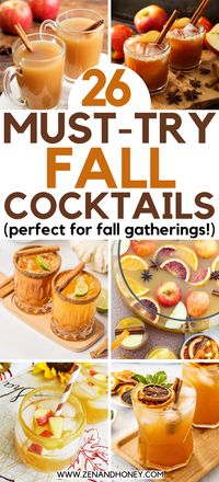 Choose from 26 aromatic and easy fall cocktails recipes to serve at your next Thanksgiving dinner. Infuse delicious flavors of autumn into your fall cocktails and celebrate the coziest season of the year. Best Thanksgiving cocktails!