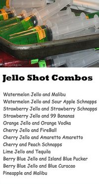 How To Make Jello Shots or Shooters In Syringes | Nikki Lynn Design