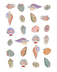 "Beach House Shells" Contemporary Giclee Print by Sarah Gordon - 16 X 20 on Chairish.com