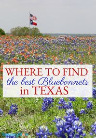 13 Best Places for Texas Bluebonnets in 2022 | TravelingMom