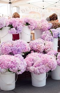 Paris2london: (via SATURDAY FARMERS MARKET IN SAN FRANCISCO |...