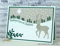 JanB Cards - Independent Stampin' Up! Demonstrator Jan Brown