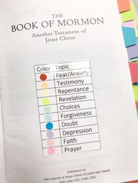 Book of Mormon Survival Guide. The long wait is FINALLY over. Thanks… | by Amanda Nelson | Medium