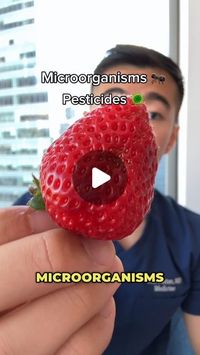 Dr. Tim Tiutan | Internal Medicine on Instagram: "How to clean your fruits and vegetables. Although it’s not absolutely necessary to clean all produce for those who have an average immune system, I prefer to use this method. At bare minimum - rinsing under the sink with water helps significantly!

✨Follow @doctortim.md to live a healthier life

The published data is not as robust as I would like on this topic, but from what I’ve gathered:

1️⃣ Rinse 
2️⃣ Soaking in 1 cup distilled white vinegar + 3 cups filtered water (at least 10 min) – the vinegar’s acidity helps remove microorganisms and some pesticides, but not all. 
3️⃣ Add baking soda (2 tsp) to form CO2 bubbles. Some people directly combine baking soda before soaking in vinegar which instantly neutralizes the acid/base solution, ess