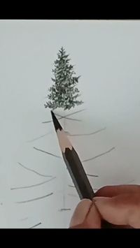 Pine tree drawing by pencil shorts video. #shorts /#youtubeshorts /