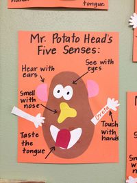 Preschool: 5 Senses