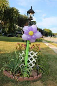 Easy Flower Balloons https://www.b4andafters.com