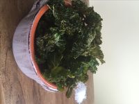 Baked Kale Chips