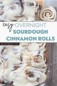 Elevate your morning with the enticing aroma of overnight sourdough cinnamon rolls. Dive into this easy step-by-step recipe for soft, fluffy perfection. These heavenly swirls of cinnamon goodness are a game-changer and can be made ahead for a special holiday or occasion. Pin for a delicious morning tomorrow! 📌🍽️ #SourdoughCinnamonRolls #OvernightBaking