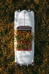 Cadillac in Flowers - BIG Wall Décor