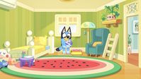 Bluey gets a bedroom: the major milestone in the new third season | Kidspot