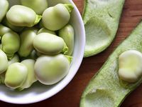 Fava beans - known as broad beans in the UK and much of the rest of the world - are among the oldest of all cultivated crops.