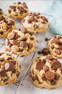 Peanut Butter Chocolate Chip Cookies