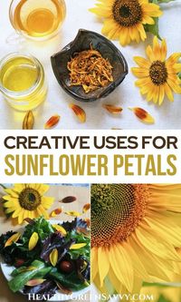 Did you know sunflower petals are edible and great for use in skincare? Here's what to know about using sunflower petals in cooking, tea, and homemade skin products. | edible flowers | uses for sunflower petals |