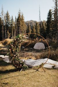 White delphinium, blush rose, green antique hydranea, bronze hanging amaranthus, rose hips, burgundy dahlia, chocolate lisianthus, queen anne's lace, fall foliage ceremony cirlce arch flowers