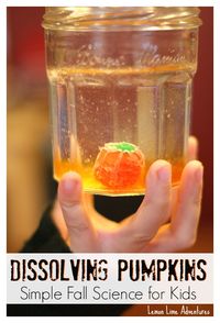 Dissolving Pumpkin Candy Experiments| Wow! Trying this with my first graders this week! What a cool Halloween Science Experiment!