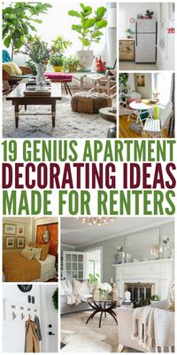 19 Genius Apartment Decorating Ideas Made for Renters