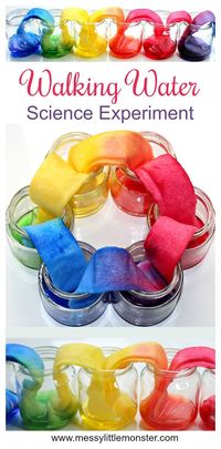 Rainbow Walking Water Science Experiment