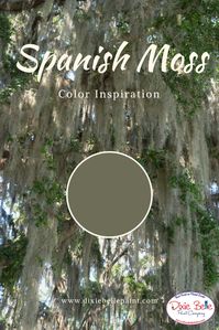 Think succulent and majestic and you will find our Spanish Moss Chalk Mineral Paint color. It is a mix of greens and grays, just like Spanish moss blowing in a breeze. Get yours from Dixie Belle Paint today! #dixiebelle #dixiebellepaint #chalkmineralpaint #painting #paintingfurniture #furniturepainting #furniture #diy #doityourself #howto #howtopaint #chalkpainted #howtopaintfurniture #bestfurniturepaint #spanishmoss #moss