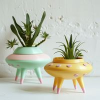 Support me and take advantage of the discount for the first sales! Transform your space with the spectacular UFO planter, an indoor planter that adds a futuristic and unique touch to any room. With a UFO-inspired design, this planter is perfect for those looking for innovative, out-of-this-world decor. Ideal for succulents, cacti and small plants, it combines functionality and style in an exceptional way. Made from high-quality materials, the UFO planter is durable and lightweight, making it eas