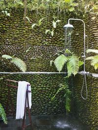 shower with the ferns