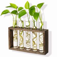 PRICES MAY VARY. Upgraded Craft: Top natural raw wood and premium glass tubes formed a sturdy wall mounted hanging planter for plants live houseplants. It's also a good glass terrarium tabletop planter, you can put it on a table, windowsill, counter and shelves in living room, bedroom, shop, dinning room, kitchen, home and office decor. Perfect Propagator: Cute test tube planter for propagations and cuttings. The long slim tube provides plenty growth space for the root, and you can clearly obser