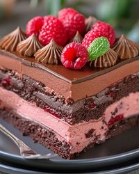 Cooks Recipes | 🌟 Heavenly Raspberry Chocolate Mousse Cake 🌟 | Facebook