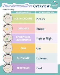 Neurotransmitters Overview #nursingschool #nursingstudent #study  - Image Credits: Laura Guest