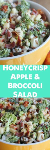 A lightened up twist on a family favorite recipe. Crunchy Honeycrisp apples are paired with broccoli, sunflower seeds, raisins and bacon—a perfect dish to bring to a cookout or party!