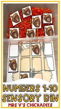 Sensory activities are fun, educational, and stimulate for a child's mind! Check out this post with 5 fall-themed sensory bins and tons of other combinations to keep your toddlers and preschoolers busy. Practice letters and alphabet, numbers 1-10, 2 dimensional shapes and ten frames.