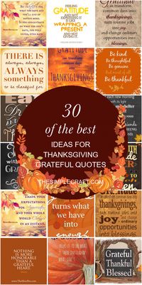 Thanksgiving Grateful Quotes Fresh 10 Gratitude Quotes for Thanksgiving Season