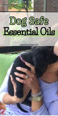 afe essential oils for dogs can be calming, help with fleas, itching, and allergies. DIY dog odor spray using Young Living, Doterra, Simply Earth or your favorite essential oils. Find out which essential oils are toxic to dogs. Diffuser blends for dogs. Is peppermint safe for dogs? Is Eucalyptus safe for dogs? DIY recipes for dogs. What essential oils to avoid near your dog. Tips for dog owners. Flea and Tick spray. #essentialoils #dogcare #dogfacts #dogtips #dogowners .